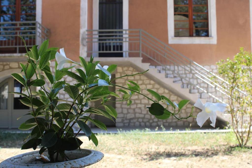 La Provencale Apartment Uzes Bagian luar foto